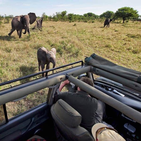 safari-game-drive-serengeti-tanzania-small