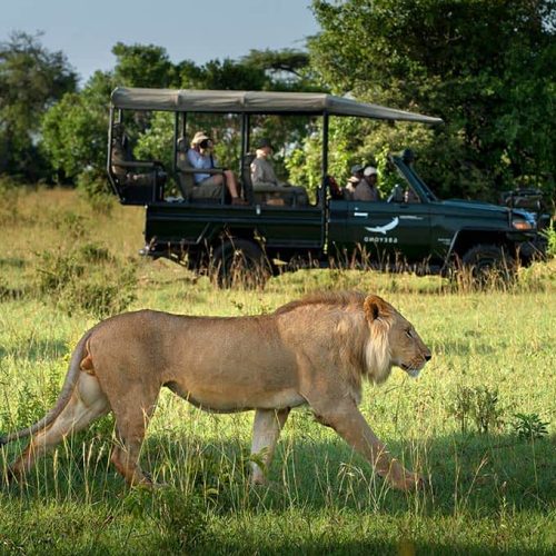 safari-serengeti-and-beyond-kleins-camp-small