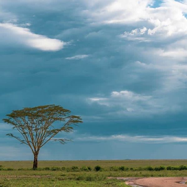 weather-climate-information-serengeti-national-park-small (1)