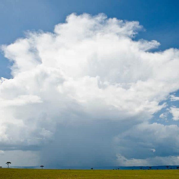 wet-season-storm-cloud-serengeti-small