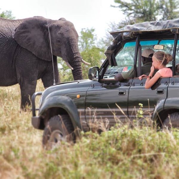 wildlife-safari-serengeti-national-park-tanzania-small